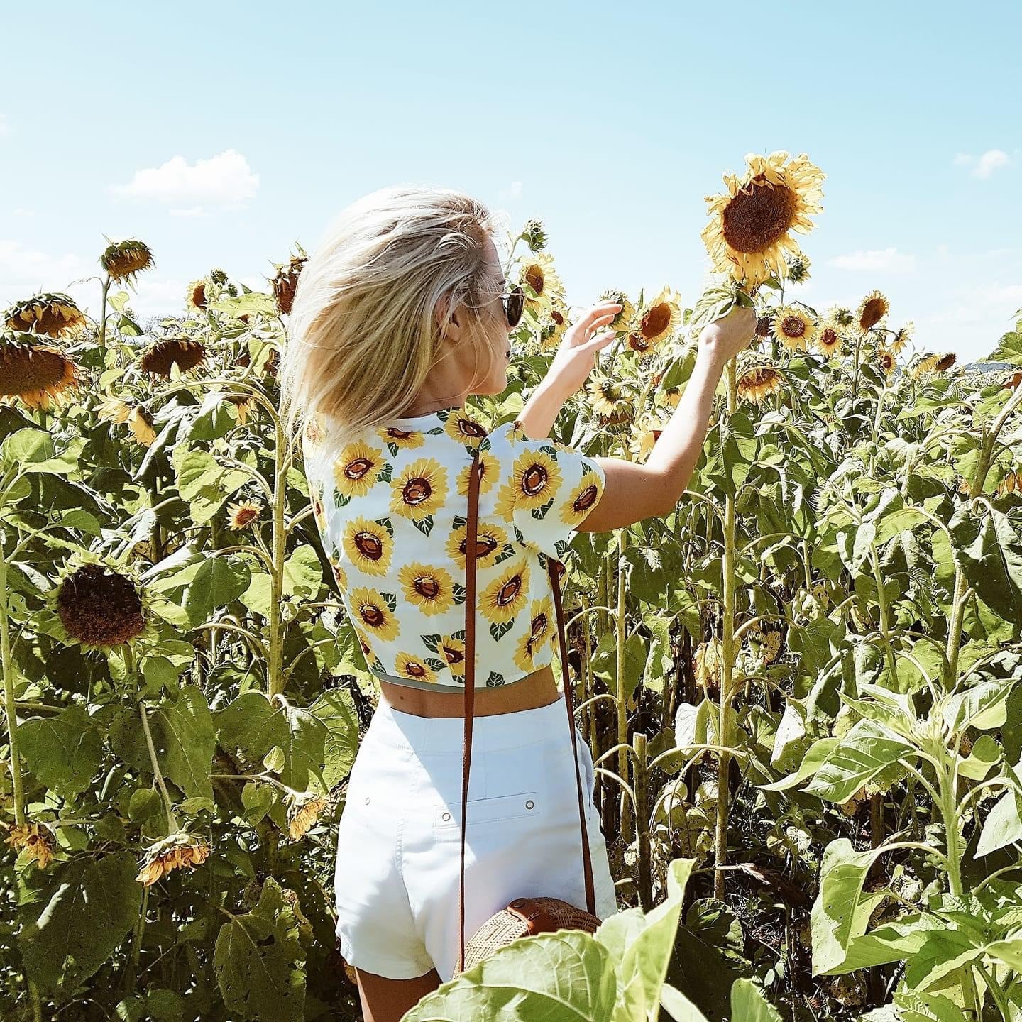 Sunflower Top